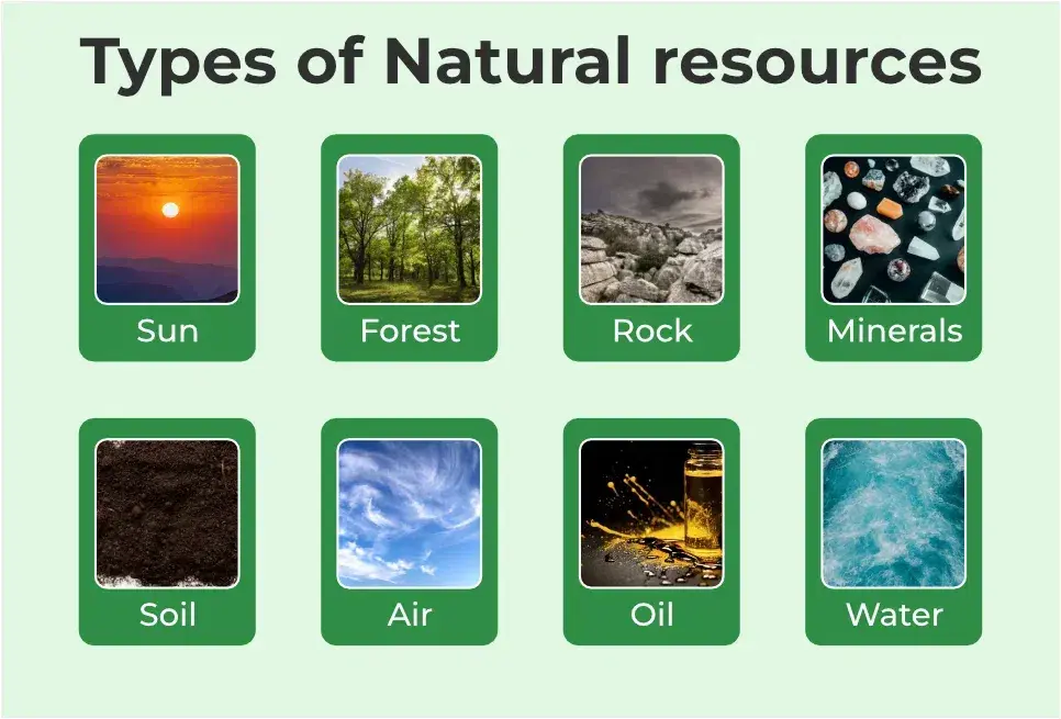 مصرف منابع طبیعی در چاپ